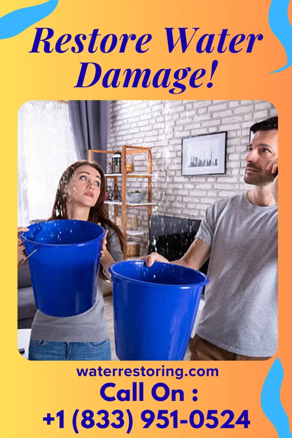 water restoration Titan Water Mitigation Masters Coopers Plains